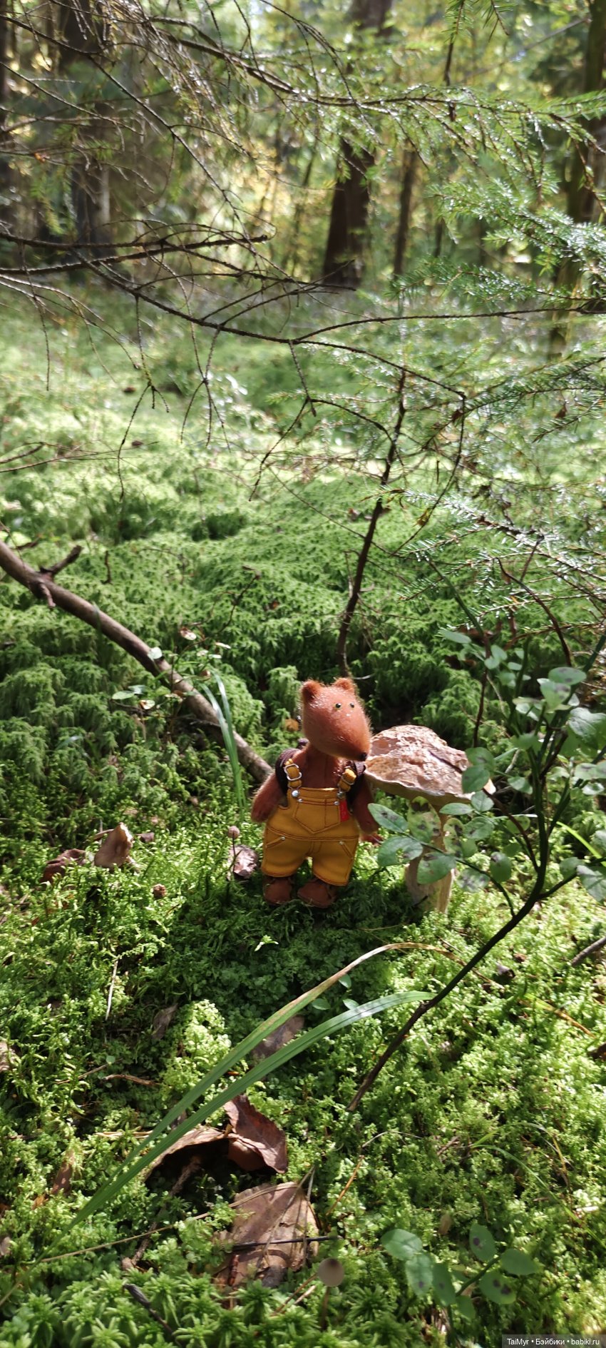 Тихая охота — Домашние фото авторских игрушек: Тедди