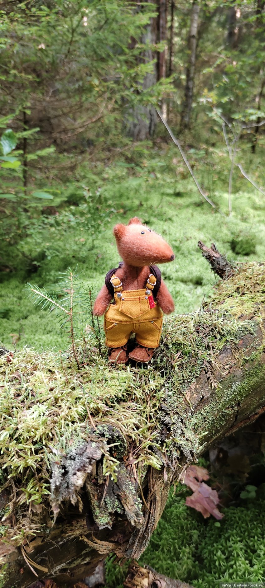 Тихая охота — Домашние фото авторских игрушек: Тедди