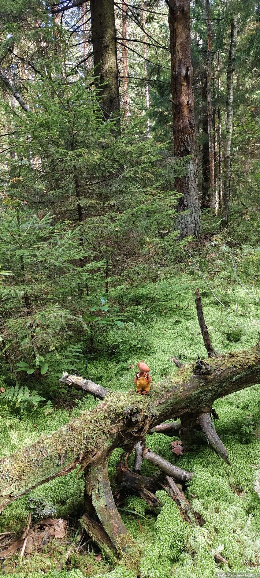 Тихая охота — Домашние фото авторских игрушек: Тедди