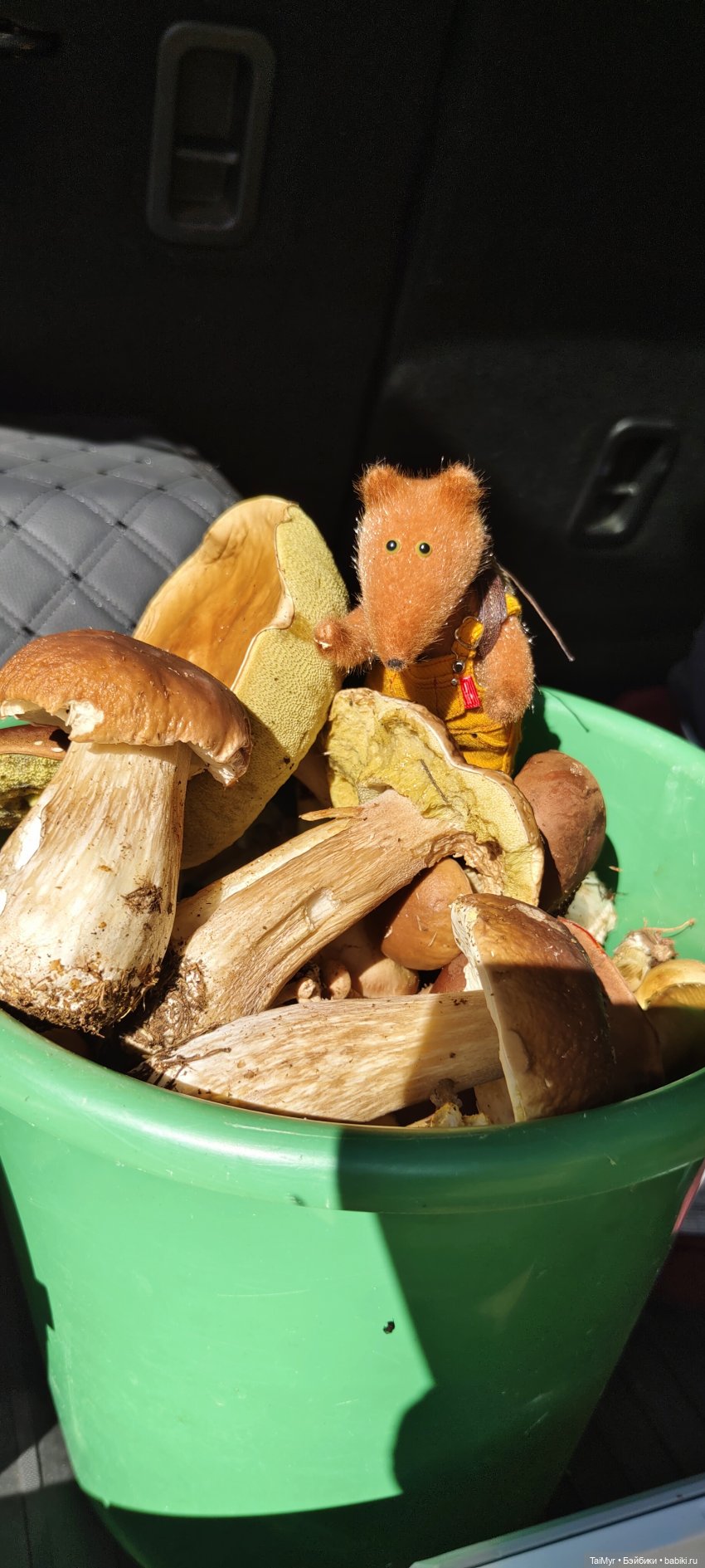 Тихая охота — Домашние фото авторских игрушек: Тедди