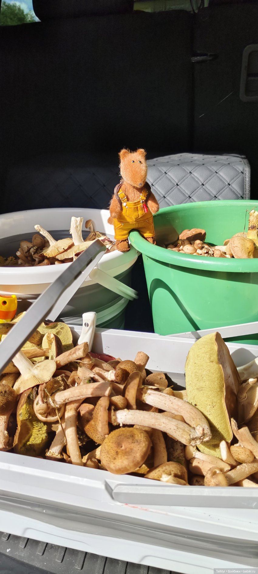 Тихая охота — Домашние фото авторских игрушек: Тедди