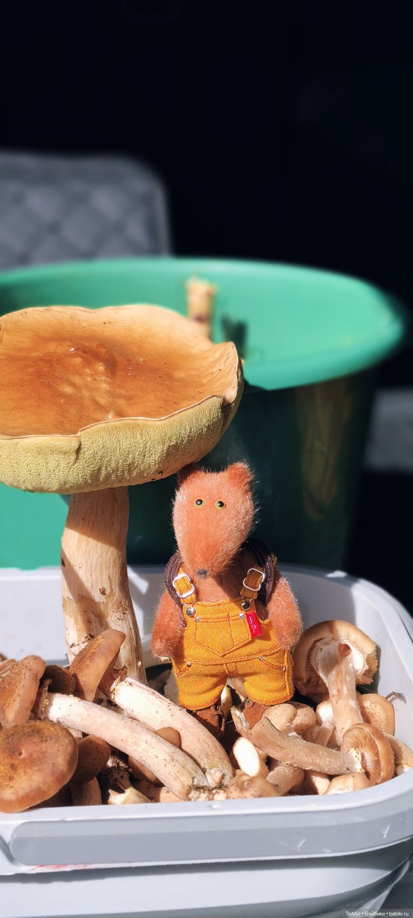 Тихая охота — Домашние фото авторских игрушек: Тедди