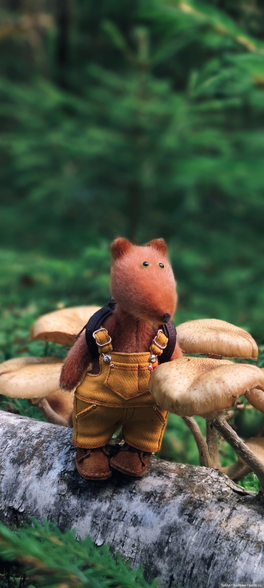 Тихая охота — Домашние фото авторских игрушек: Тедди