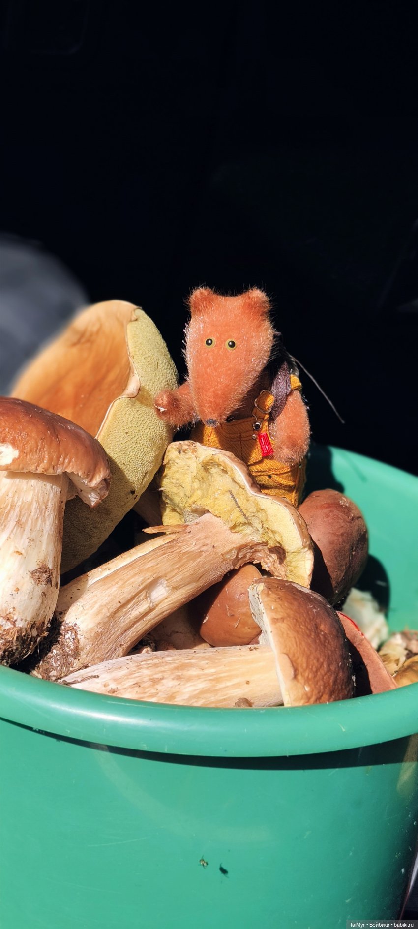 Тихая охота — Домашние фото авторских игрушек: Тедди