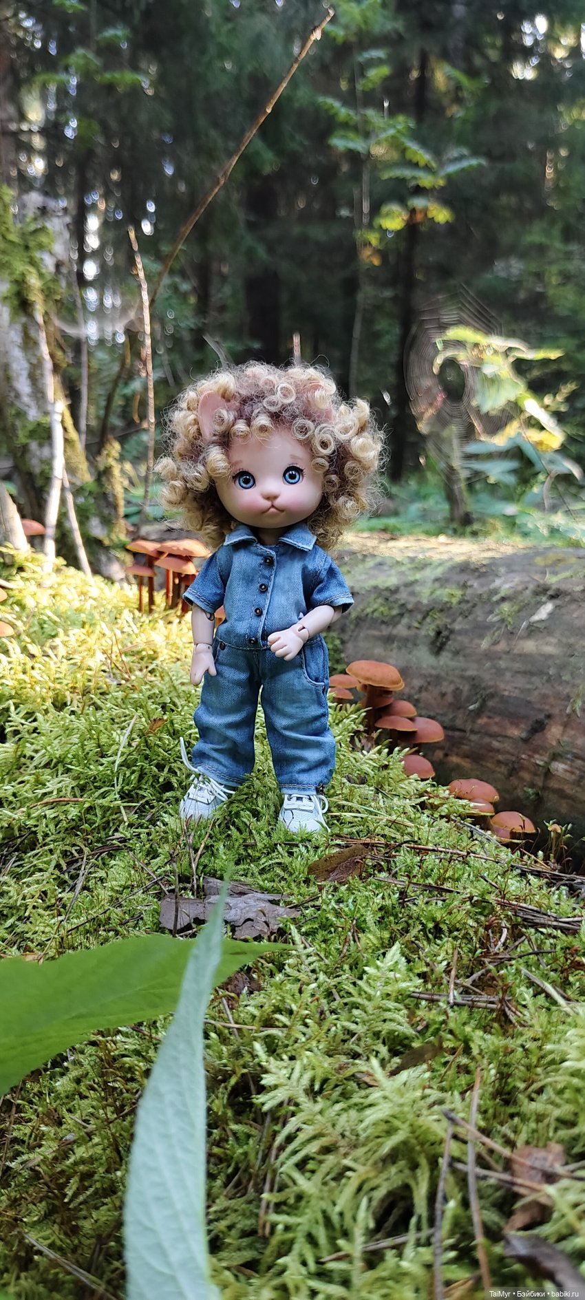 Тихая охота — Домашние фото авторских игрушек: Тедди