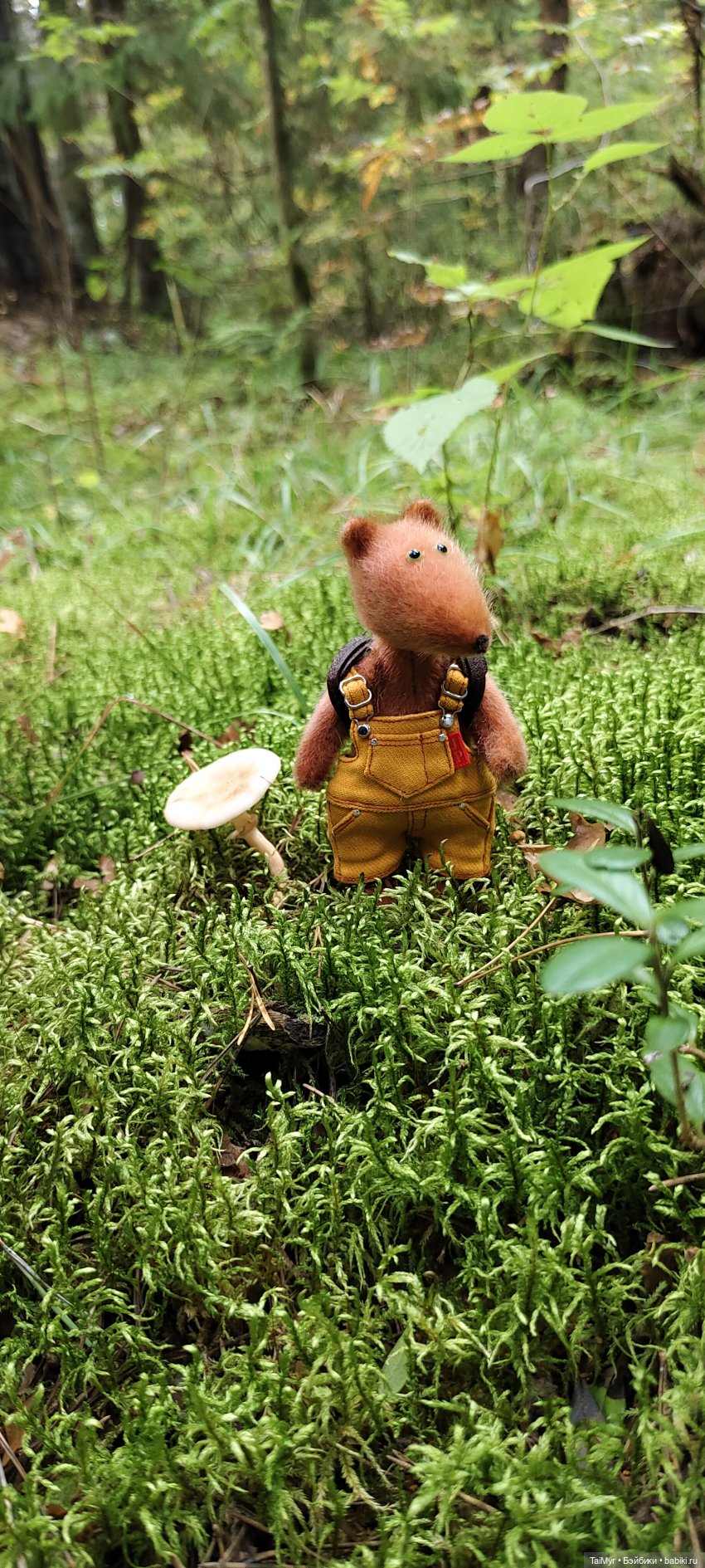 Тихая охота — Домашние фото авторских игрушек: Тедди (фото 9)