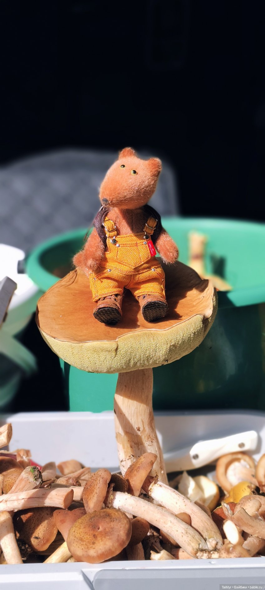 Тихая охота — Домашние фото авторских игрушек: Тедди