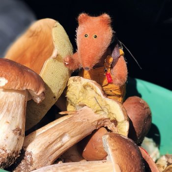 Тихая охота