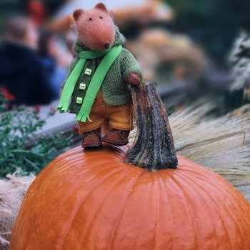 Цвет настроения -тыквы