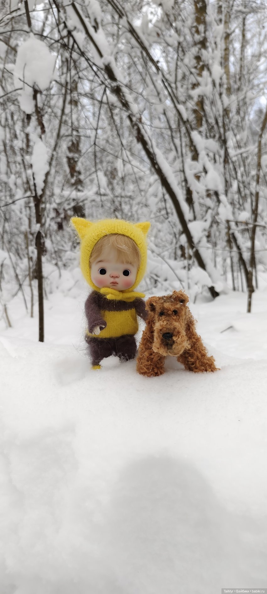 Зимняя прогулка — Куклы Qbaby (Кьюбейби) Rodgerdoll: для тела Ob11