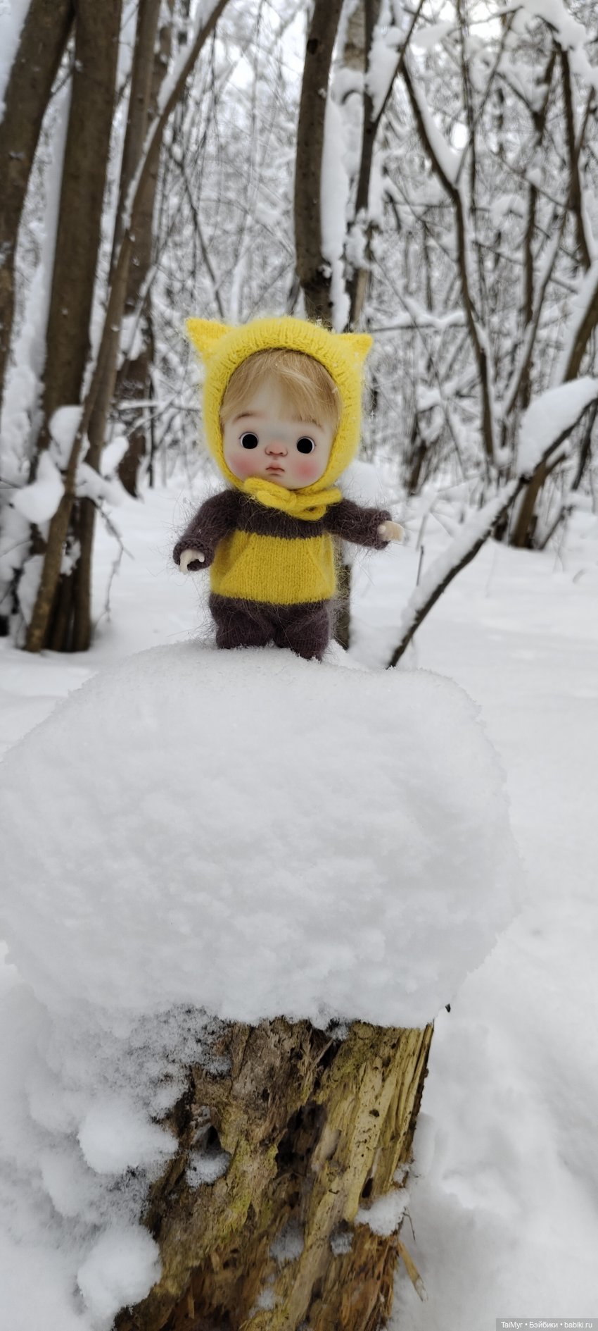 Зимняя прогулка — Куклы Qbaby (Кьюбейби) Rodgerdoll: для тела Ob11