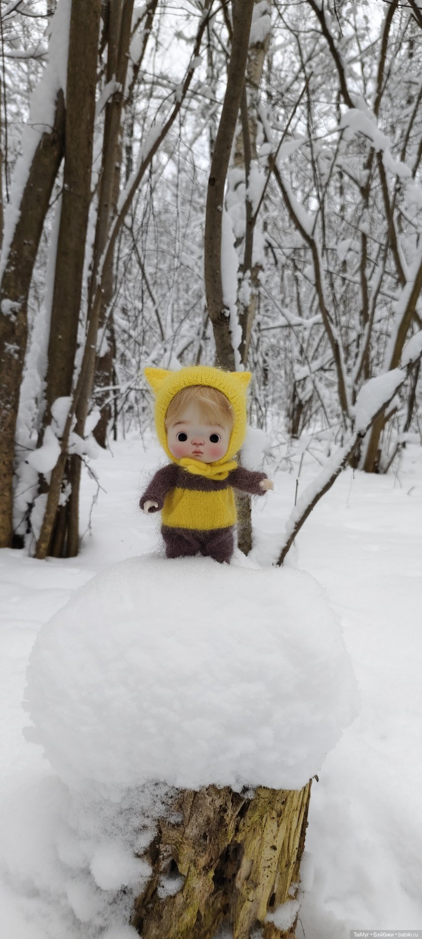 Зимняя прогулка — Куклы Qbaby (Кьюбейби) Rodgerdoll: для тела Ob11