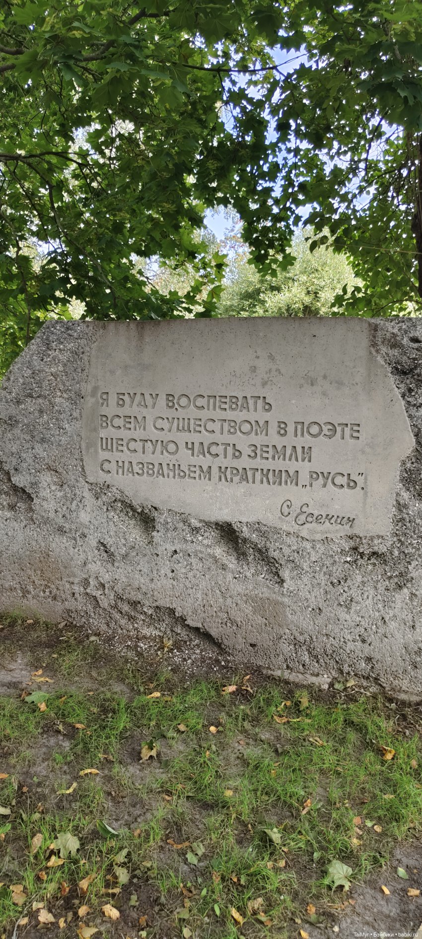Константиново. Музей- заповедник Сергея Есенина (фото 6)