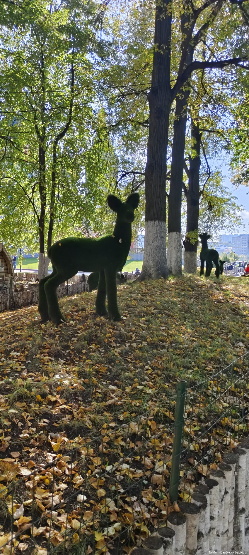 Прогулка в Переделкино — Туризм и путешествия: фотоотчеты из поездок (фото 10)