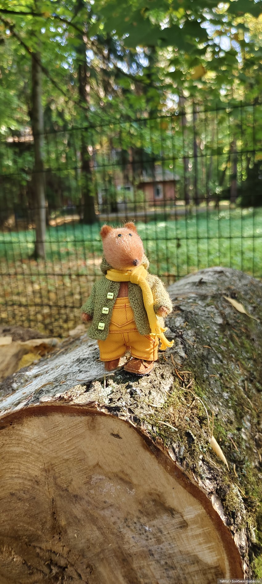 Прогулка в Переделкино — Туризм и путешествия: фотоотчеты из поездок