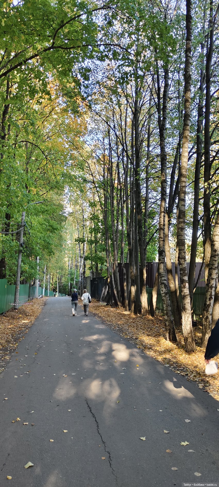 Прогулка в Переделкино — Туризм и путешествия: фотоотчеты из поездок