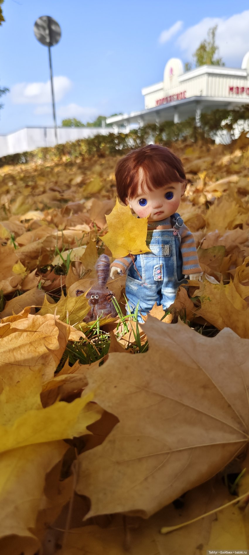 Новенька малышка Томатик — Разные куклы BJD (БЖД): редкие бренды (фото 5)