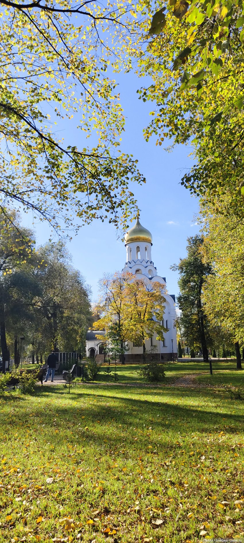 Осенняя прогулка Юми — Домашние фото авторских кукол: личные коллекции