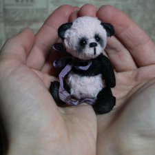 Черничная панда, мишка тедди