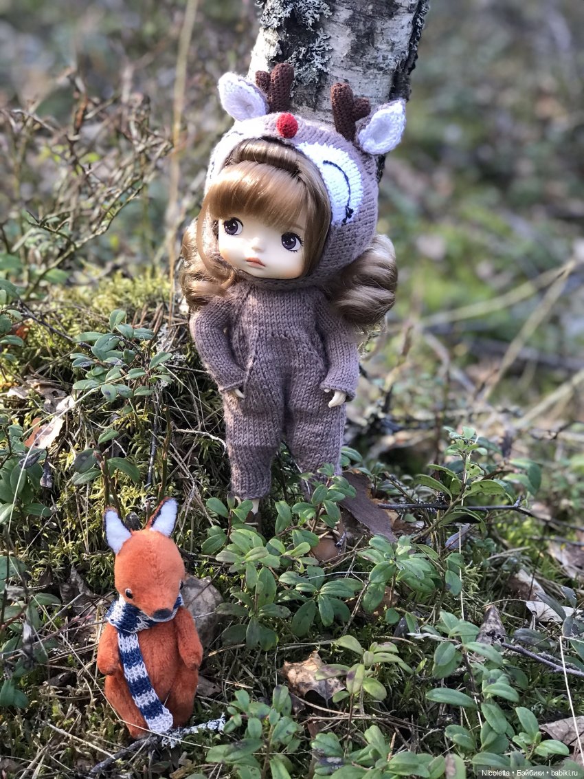 Однажды в лесу — Разные шарнирные куклы (не БЖД): редкие (фото 6)