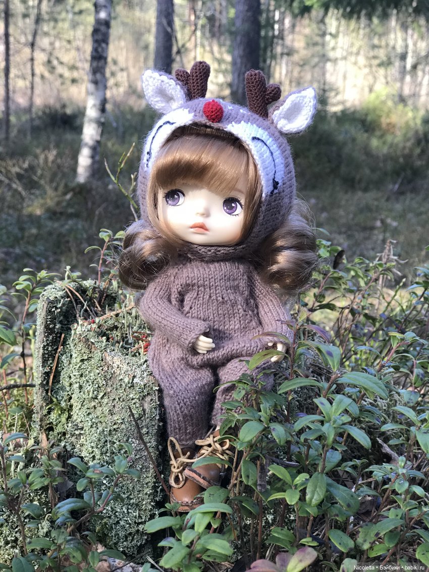 Однажды в лесу — Разные шарнирные куклы (не БЖД): редкие (фото 4)