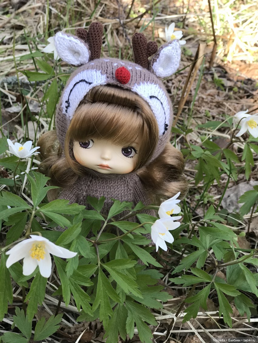 Однажды в лесу — Разные шарнирные куклы (не БЖД): редкие (фото 8)