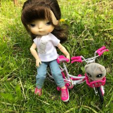 Мои куколки Xiaomi Monst