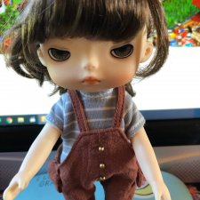 Мои куколки Xiaomi Monst