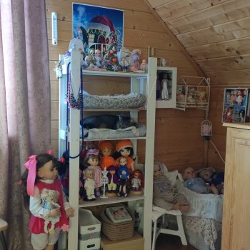 Как живут мои куколки