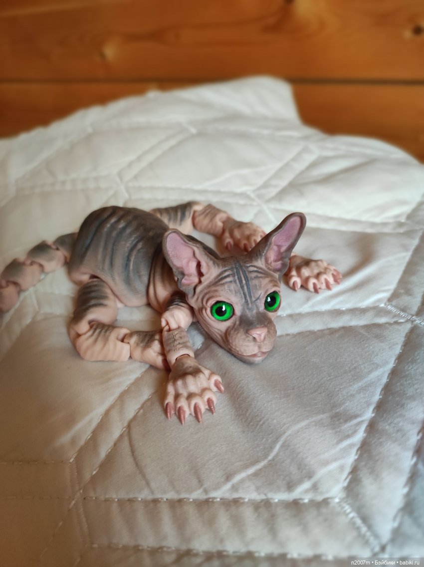 Котенок сфинкс — Разные шарнирные куклы (не БЖД): редкие (фото 2)