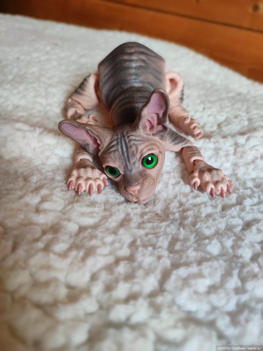 Котенок сфинкс — Разные шарнирные куклы (не БЖД): редкие