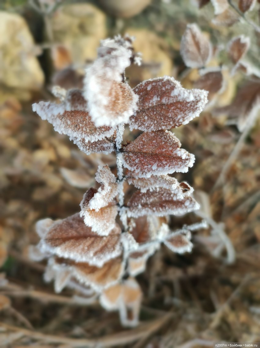 В ожидании снега | Бэйбики В ожидании снега — Одежда и обувь для кукол своими руками: фото (фото 3)