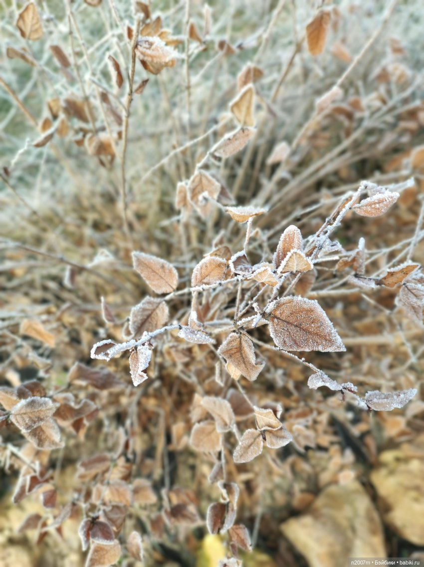 В ожидании снега | Бэйбики В ожидании снега — Одежда и обувь для кукол своими руками: фото (фото 2)