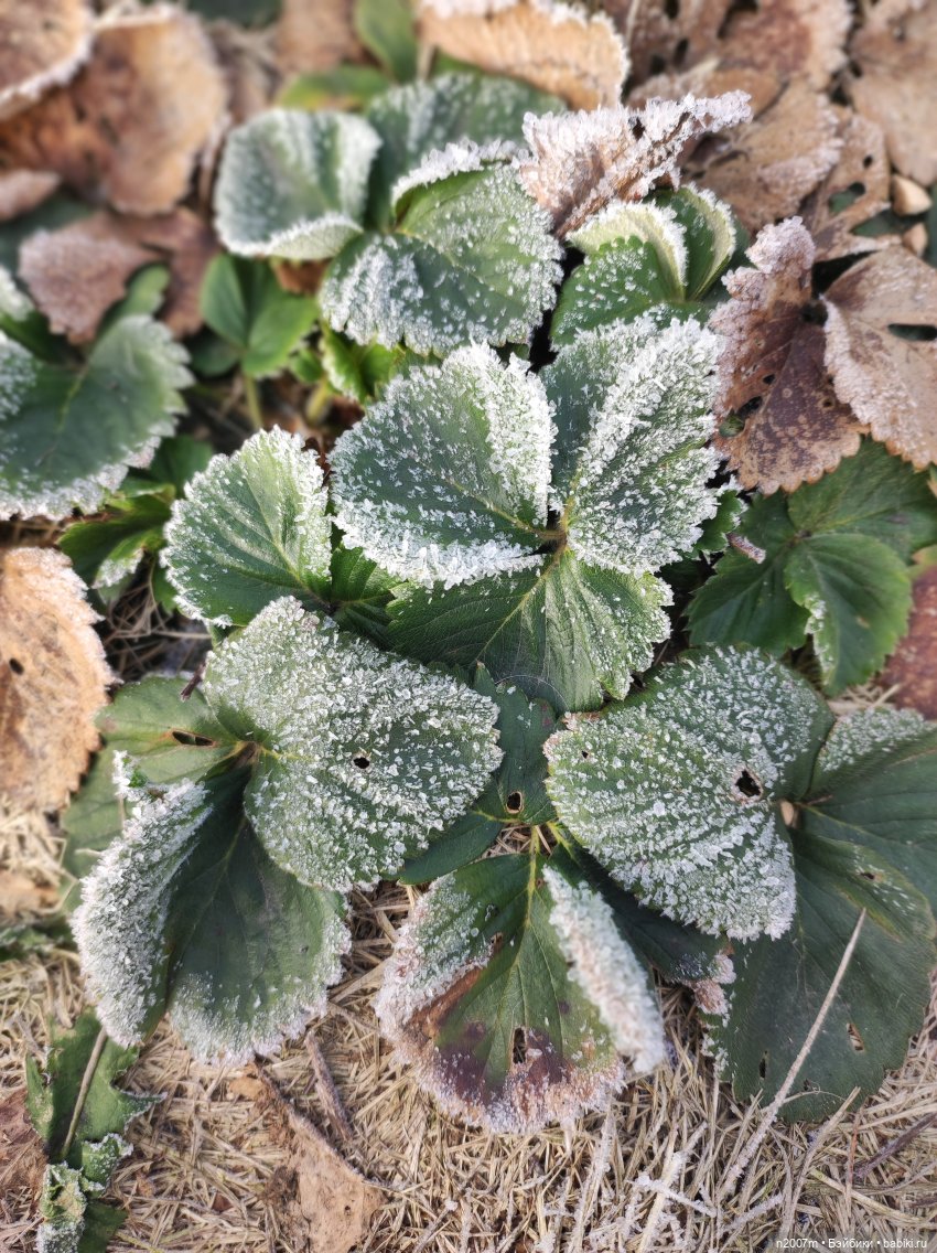 В ожидании снега — Одежда и обувь для кукол своими руками: фото (фото 5)