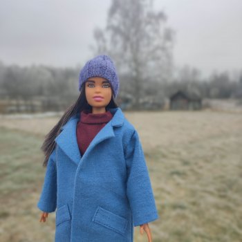 В ожидании снега