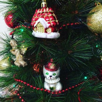 Новогодние фотографии 🎄