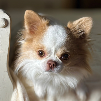 Любимый Сэм ♥️