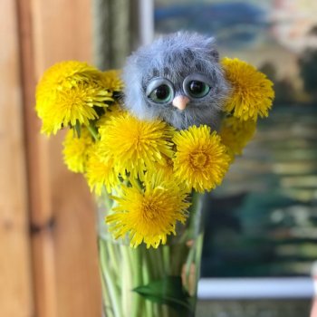 Ещё одна порция позитива 🤗