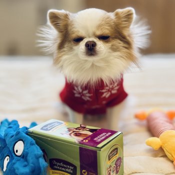 Любимый именинник 🎂