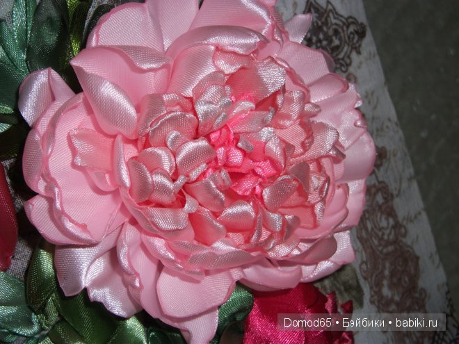 Новое увлечение — Другие хобби и увлечения: сад (фото 2)