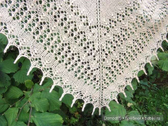 Шаль "Мамзелька" — Другие хобби и увлечения: сад (фото 3)