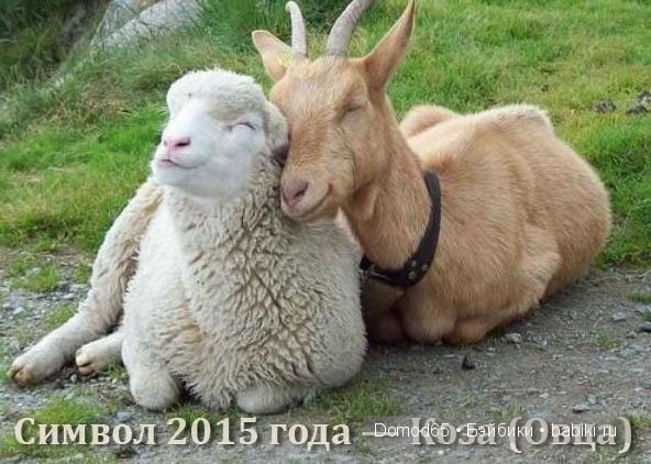 Варенька — Текстильные игрушки и примитивы: кофейные