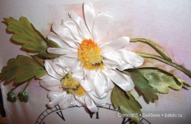 Опять ромашки и часы — Другие хобби и увлечения: сад (фото 4)