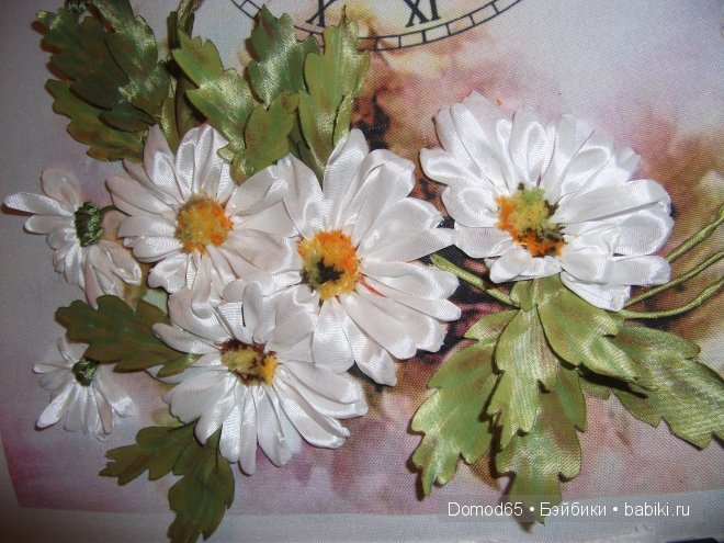 Опять ромашки и часы — Другие хобби и увлечения: сад (фото 3)