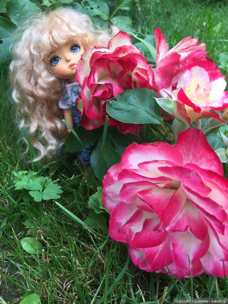 Мои цветочные феи | Бэйбики Мои цветочные феи — Куклы Latidoll (Лати): BJD (БЖД) (фото 4)