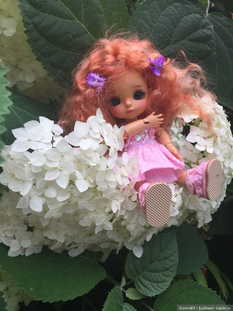 Мои цветочные феи | Бэйбики Мои цветочные феи — Куклы Latidoll (Лати): BJD (БЖД)