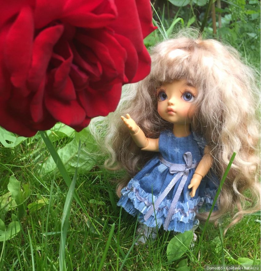 Мои цветочные феи | Бэйбики Мои цветочные феи — Куклы Latidoll (Лати): BJD (БЖД) (фото 3)