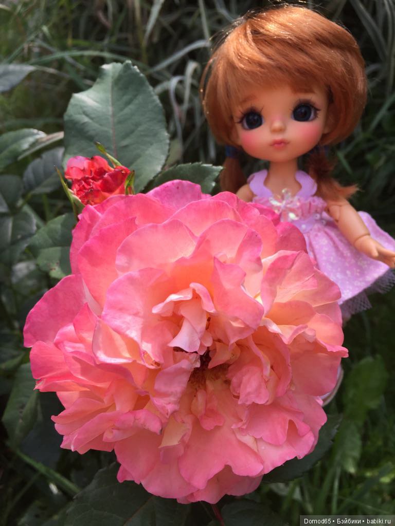 Розовое настроение | Бэйбики Розовое настроение — Куклы Latidoll (Лати): BJD (БЖД) (фото 4)