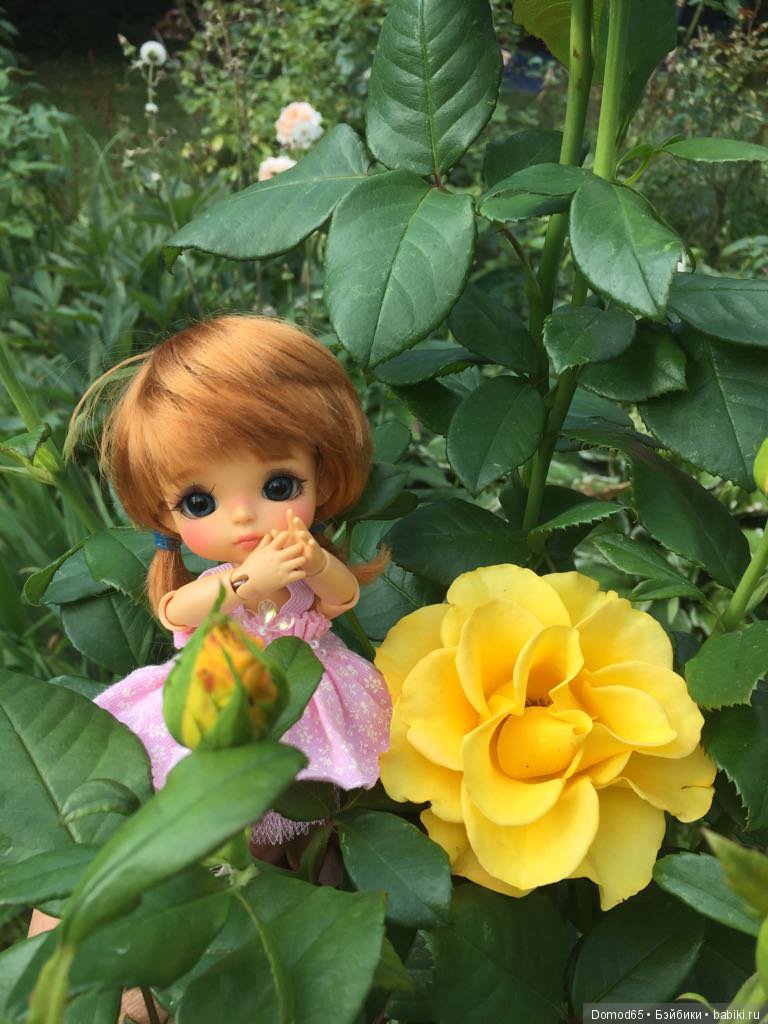 Розовое настроение | Бэйбики Розовое настроение — Куклы Latidoll (Лати): BJD (БЖД)