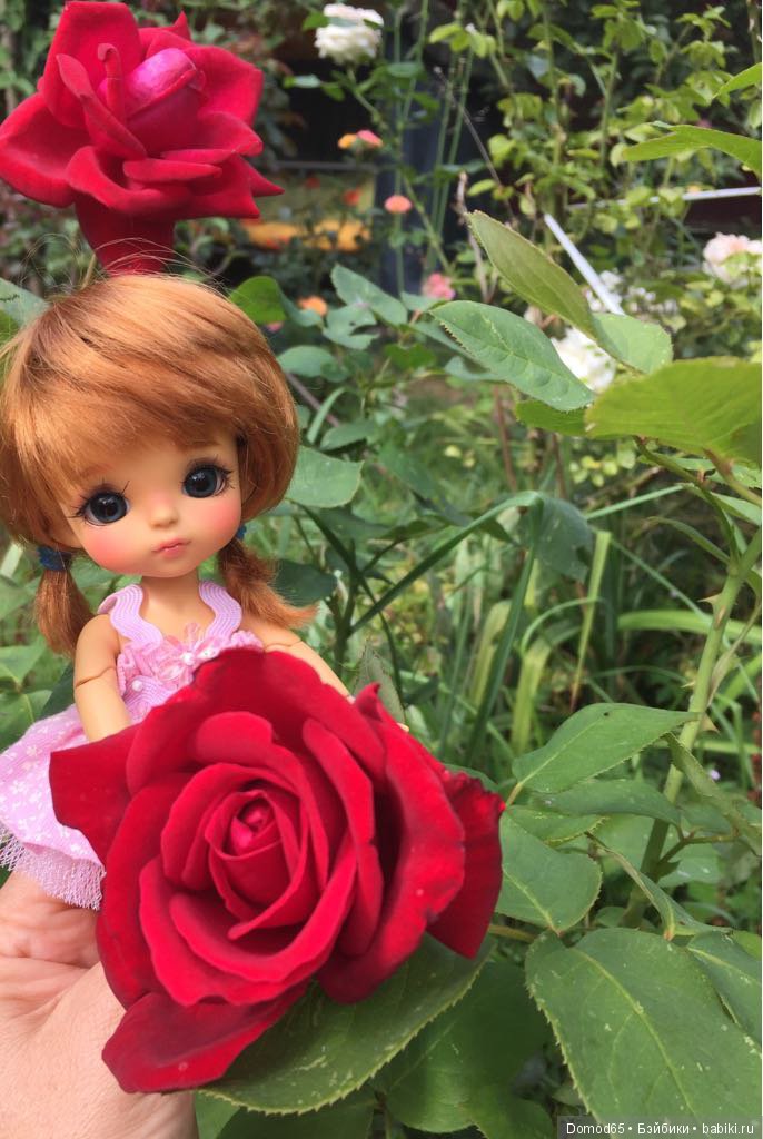 Розовое настроение | Бэйбики Розовое настроение — Куклы Latidoll (Лати): BJD (БЖД) (фото 2)